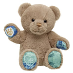 Well Wishes Teddy Bear | Build-A-Bear® - US 4467