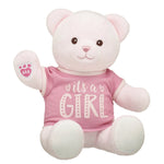 Baby Pink Teddy Bear "It's a Girl" Gift Set | Build-A-Bear® - US 1047