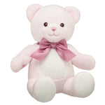 Baby Pink Teddy Bear with Gifting Bow | Build-A-Bear® - US 7665