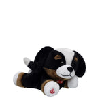 Build-A-Bear Mini Beans Promise Pets Bernese | BAB - US 5312