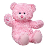 Pink Cuddles Teddy Bear | Build-A-Bear® - US 1051