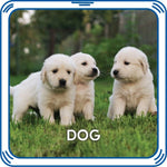 Puppy 5-in-1 Sound for Stuffed Animals | Build-A-Bear® - US 4835