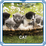 Kitty 5-in-1 Sound for Stuffed Animals | Build-A-Bear® - US 9959