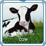 Cow Sound for Stuffed Animals | Build-A-Bear® - US 7730