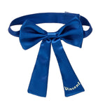 Build-A-Bear x Van Gogh Museum Irises Bear Gift Bow - US 7688